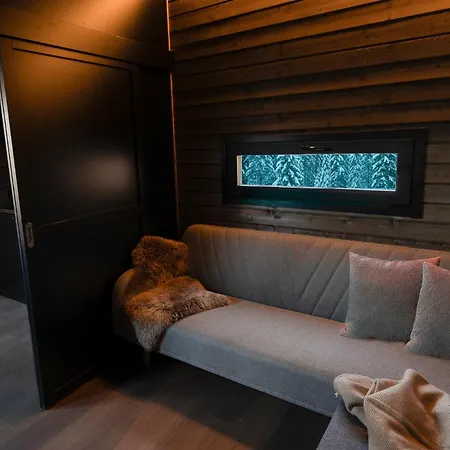 Basecamp In Yllas For Adventures Holiday home *